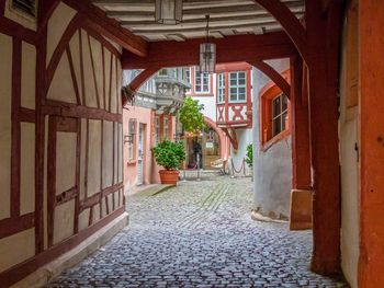 Berge, Wein & Wald - 5 Tage Pfalz & die Weinstraße