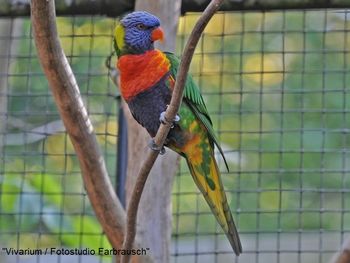 Tierische Erlebnisse im Zoo Vivarium - 2 Tage