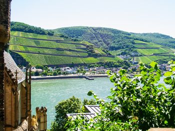 Genuss für die Sinne bei der Loreley