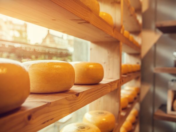 Amsterdam: 3-Tages-Paket mit Rad, Lunchpaket & HP, Nordholland (Noord-Holland) inkl. Halbpension Plus