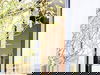 2 Tage im Radisson Blu Hotel Cologne 