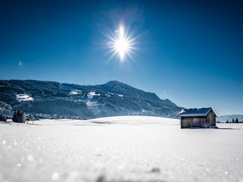 Golfgenuss im Allgäu vor alpiner Kulisse