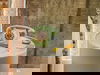 2 Tage im Nhow Amsterdam Rai 