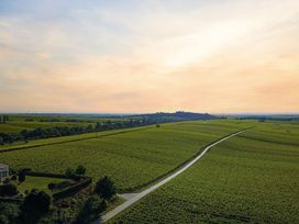 Wanderurlaub Pfälzerwald inkl. Halbpension | 5 Tage