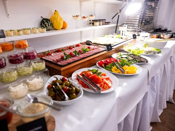 Pytloun Wellness Hotel Hasistejn