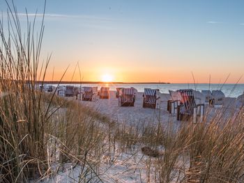 7 Tage Summer Vacation auf Usedom