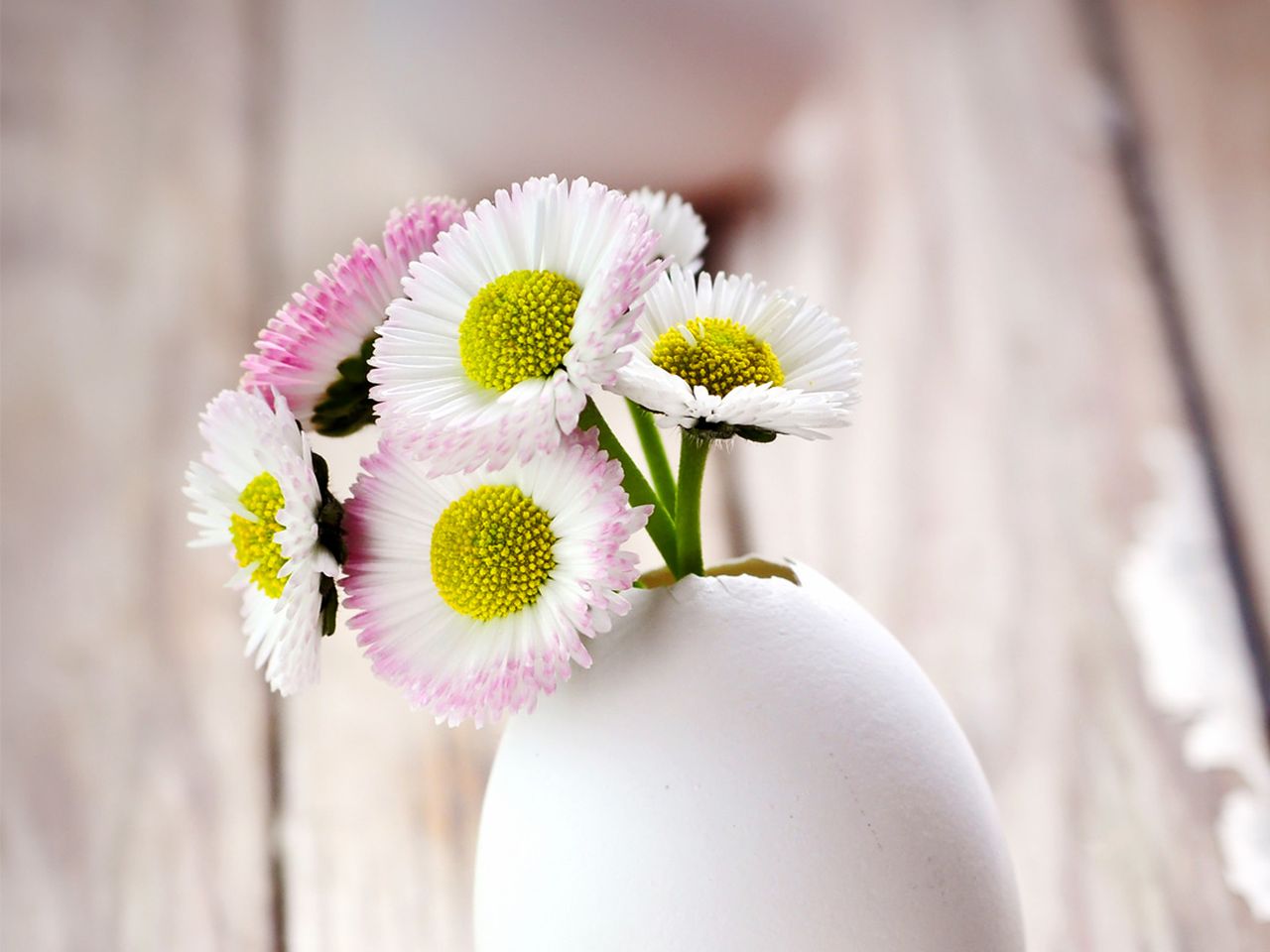 Ostern auf Usedom