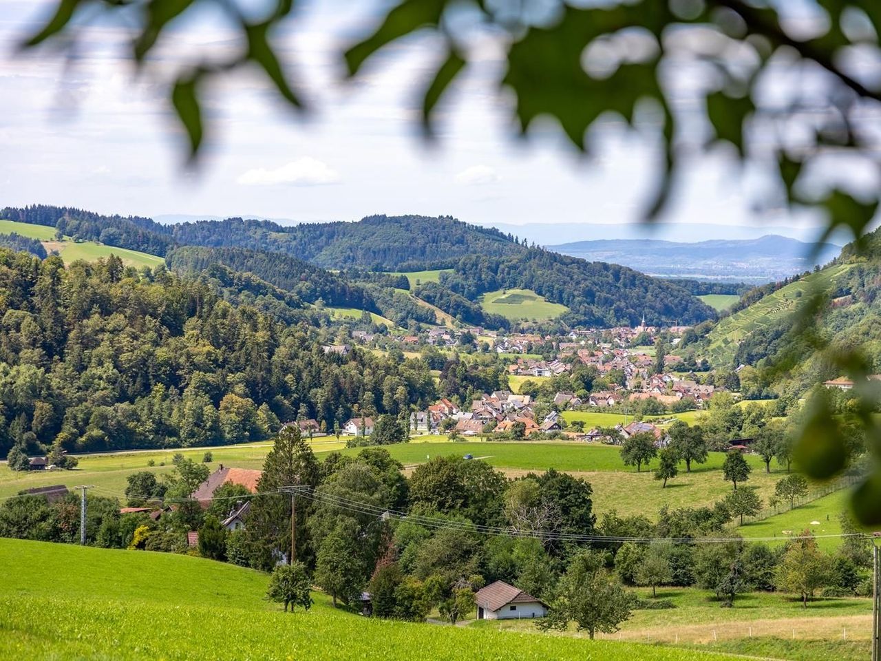 Weinfreu(n)de inkl Abendessen & Weinbegleitung 5 Tage