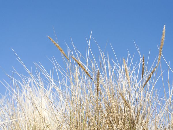 6 Tage Rügenkurztrip – Mee(h)r erleben in Buschvitz, Mecklenburg-Vorpommern inkl. Halbpension Plus