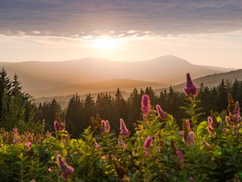 5 Tage im tschechischen Erzgebirge mit HP