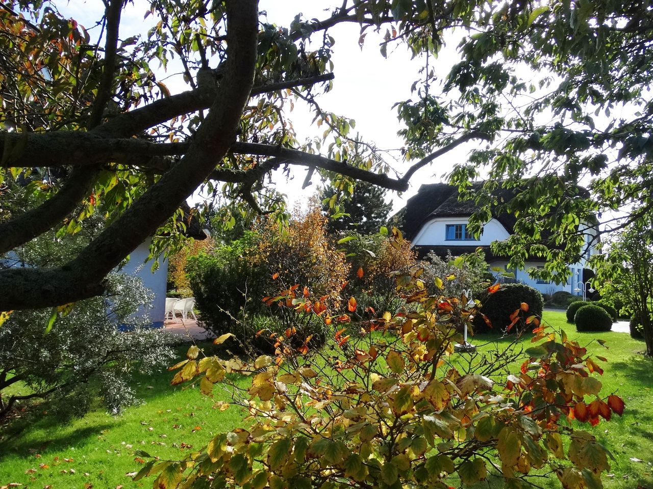 4 Tage Halbpension im Naturparadies auf Rügen