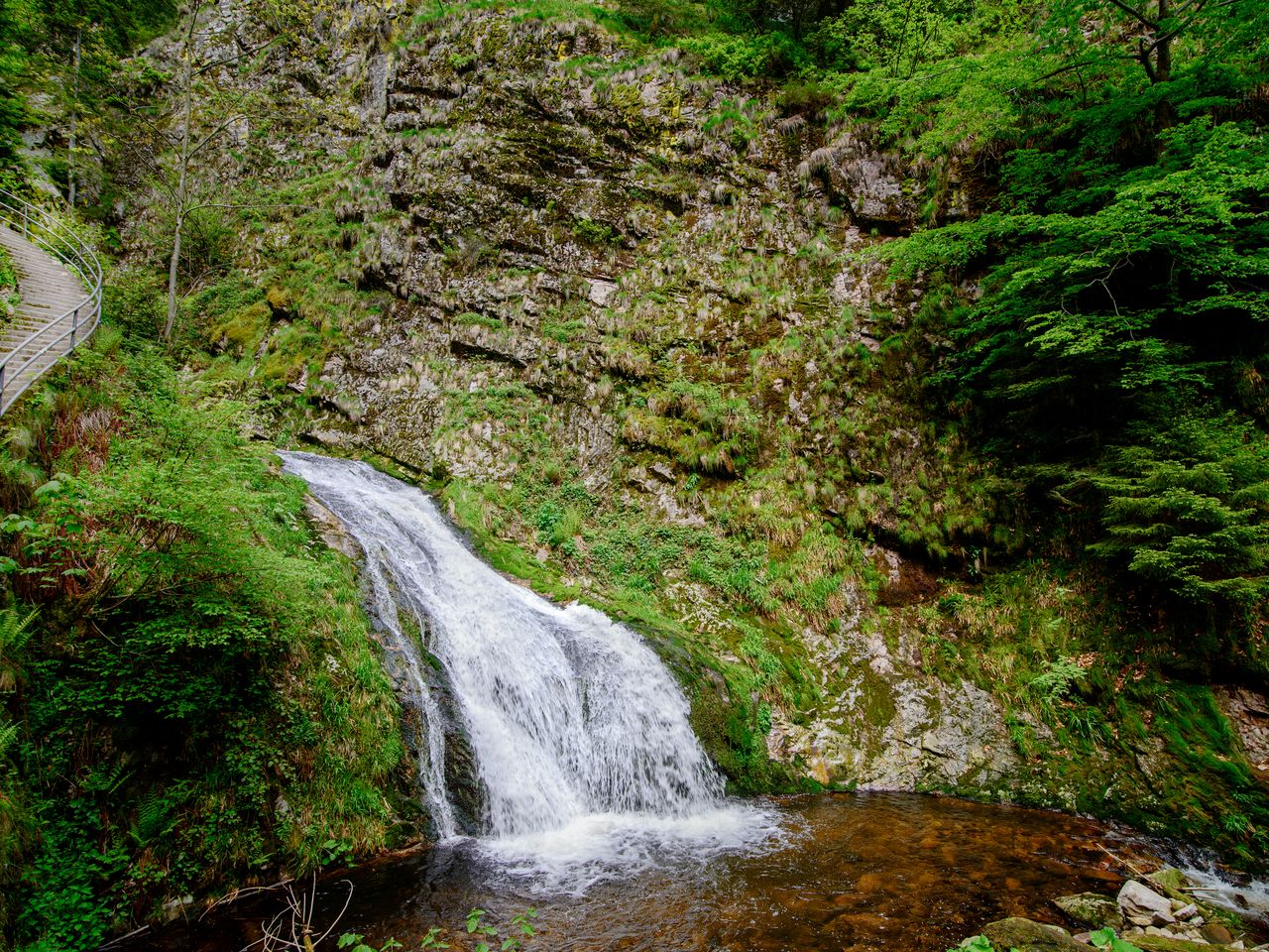 Tapetenwechsel Schwarzwald-Einfach was anderes sehen