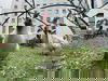 2 Tage Berliner Großstadt Feeling