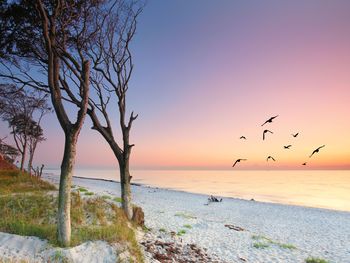 Weihnachts-Erlebnis an der Ostsee