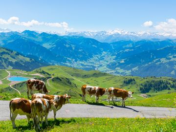 Wellnesshotel in den Kitzbueheler Alpen