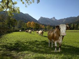 7 Entspannte Ostertage im Chiemgau