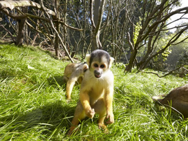 Zoo Schwerin mit Tageseintritt und Übernachtung