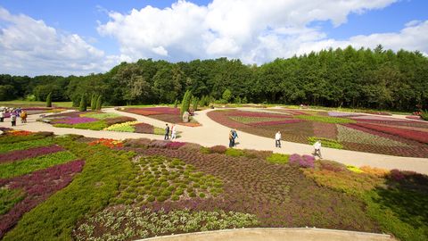 Heidegarten Schneverdingen