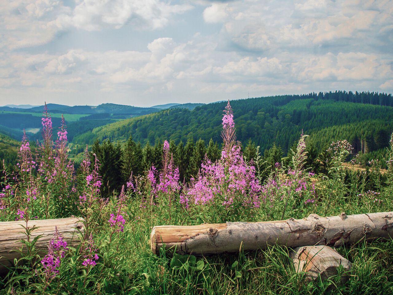 4 Tage Erlebnistage in Winterberg