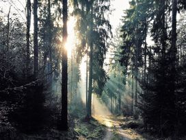 Kleine Auszeit