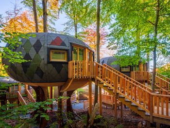 Familienspezial zu jeder Jahreszeit! - 4 Tage im Harz