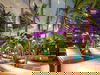Thermen & Badewelt Sinsheim: 