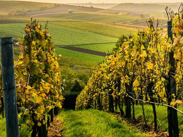 Südburgenland Special 2026