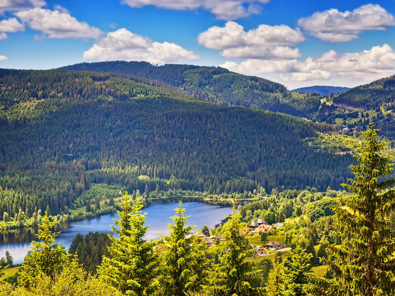Black Forest Love