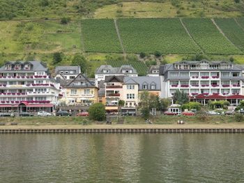 Mosel-Erlebniswoche - Sonntagsspecial