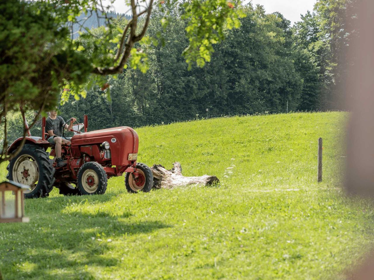 3 Tage veg. Bio-Familienkurzurlaub in den Alpen