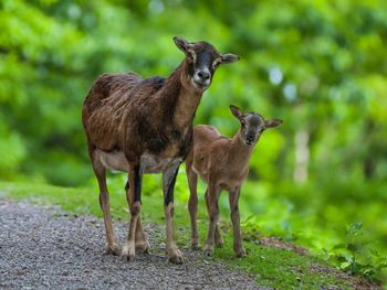 2 abenteuerliche Tage in der Natur