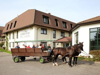 4 tolle Urlaubstage in der Feldberger Seenlandschaft