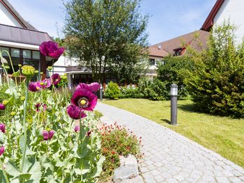 Ostsee-Urlaub in Warnemünde mit Halbpension I 12 Tage