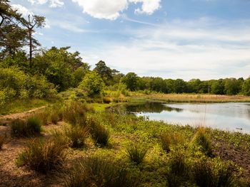 3 Tage Waldhotel bei Eindhoven – Ruhe & Wellness pur