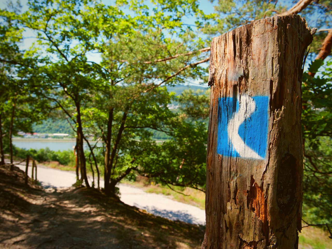 Rheinschifffahrt zur Loreley