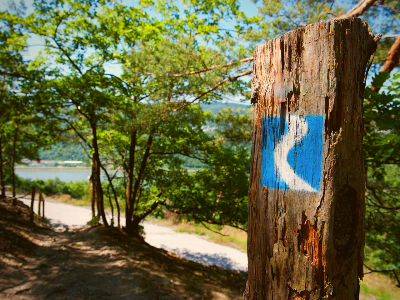 Radtour am Rhein