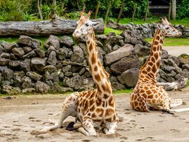 Tierisches und verzaubertes Prag - 4 Tage