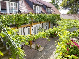 Romantik im Weingut: 