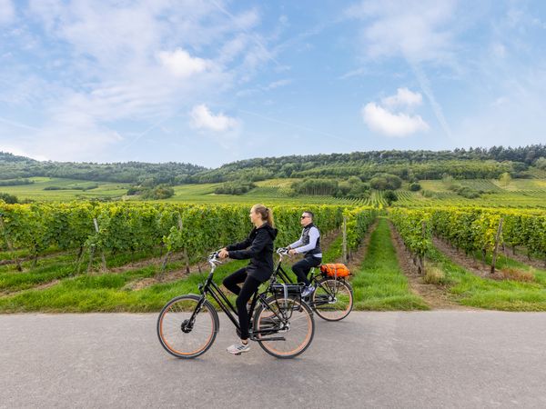 3 Tage Radurlaub für Genießer in Leiwen, Rheinland-Pfalz inkl. Frühstück