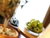 4 Tage Kurzurlaub mit HP im Hotel Neptun by LifeClass Hotels & Spa