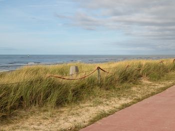 6 Tage Strandurlaub auf der Insel Texel