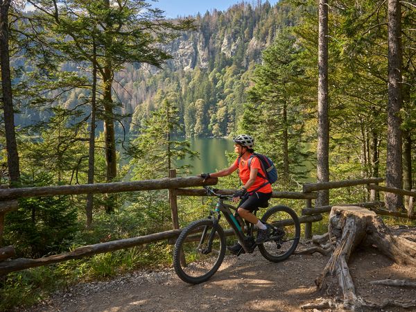 4 Tage Aktiv-Trip inkl. E-Bike für 1 Tag in Münstertal/Schwarzwald, Baden-Württemberg inkl. Halbpension