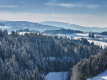 Herbstlicht im Schwarzwald