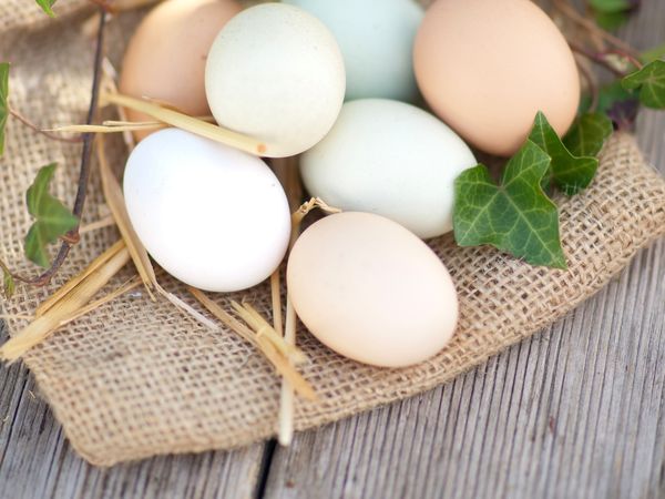 3 Tage Ostern an der Müritz – 3 Nächte in Waren (Müritz), Mecklenburg-Vorpommern inkl. Halbpension