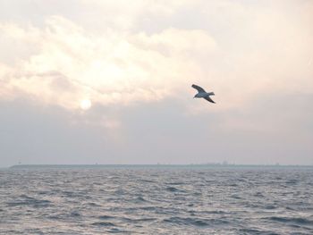 Urlaub am Markermeer-See - 2 Tage in Nord-Holland