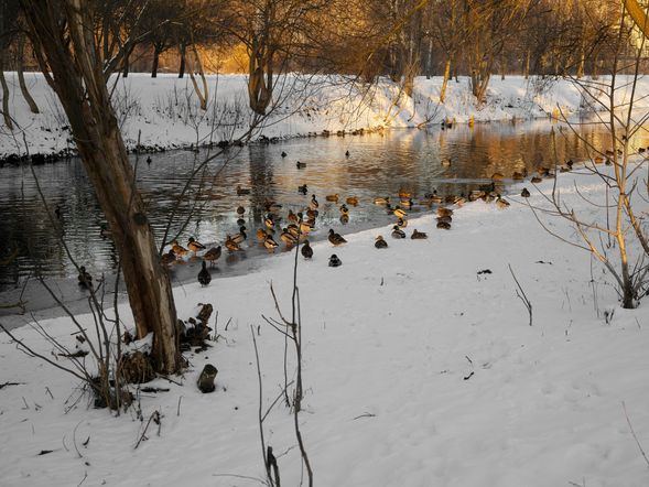 3 Tage Winter Schnäppchen im Spreewald