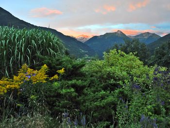 ... einfach zum Stern im Salzburger Land - 3 Tage