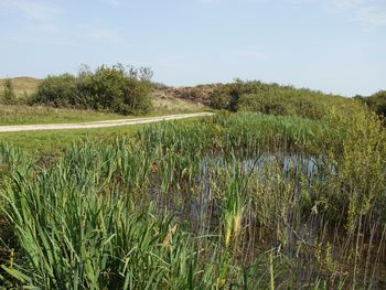 4 Tage am schönen Niederländischen Nordseestrand