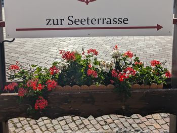 Bild 29 von 54