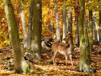 3 Tage Weingenuss in Franken mit Wanderung & Brotzeit